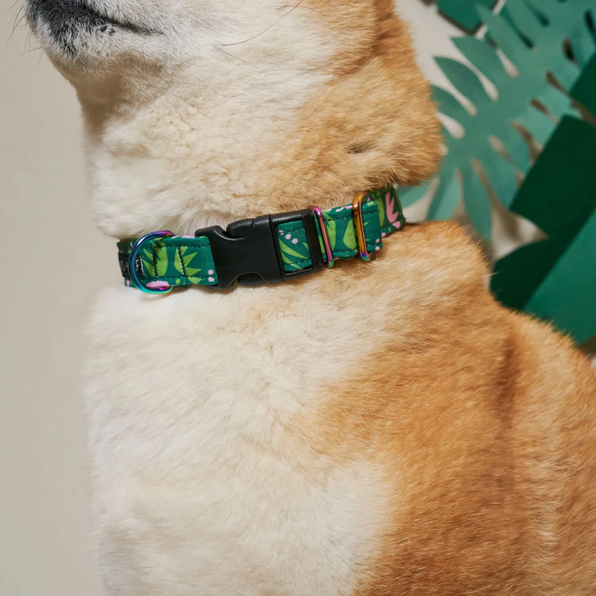 Adjustable Dog Collar with Stylish, Handcrafted 'Combs' Design