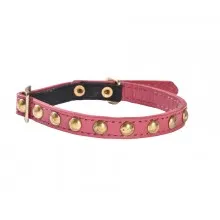 Bobby Little Cat Collar