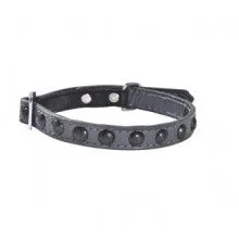 Bobby Little Cat Collar