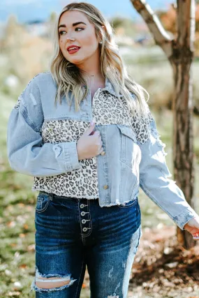 Date Night Leopard Distressed Denim Jacket (Curvy)