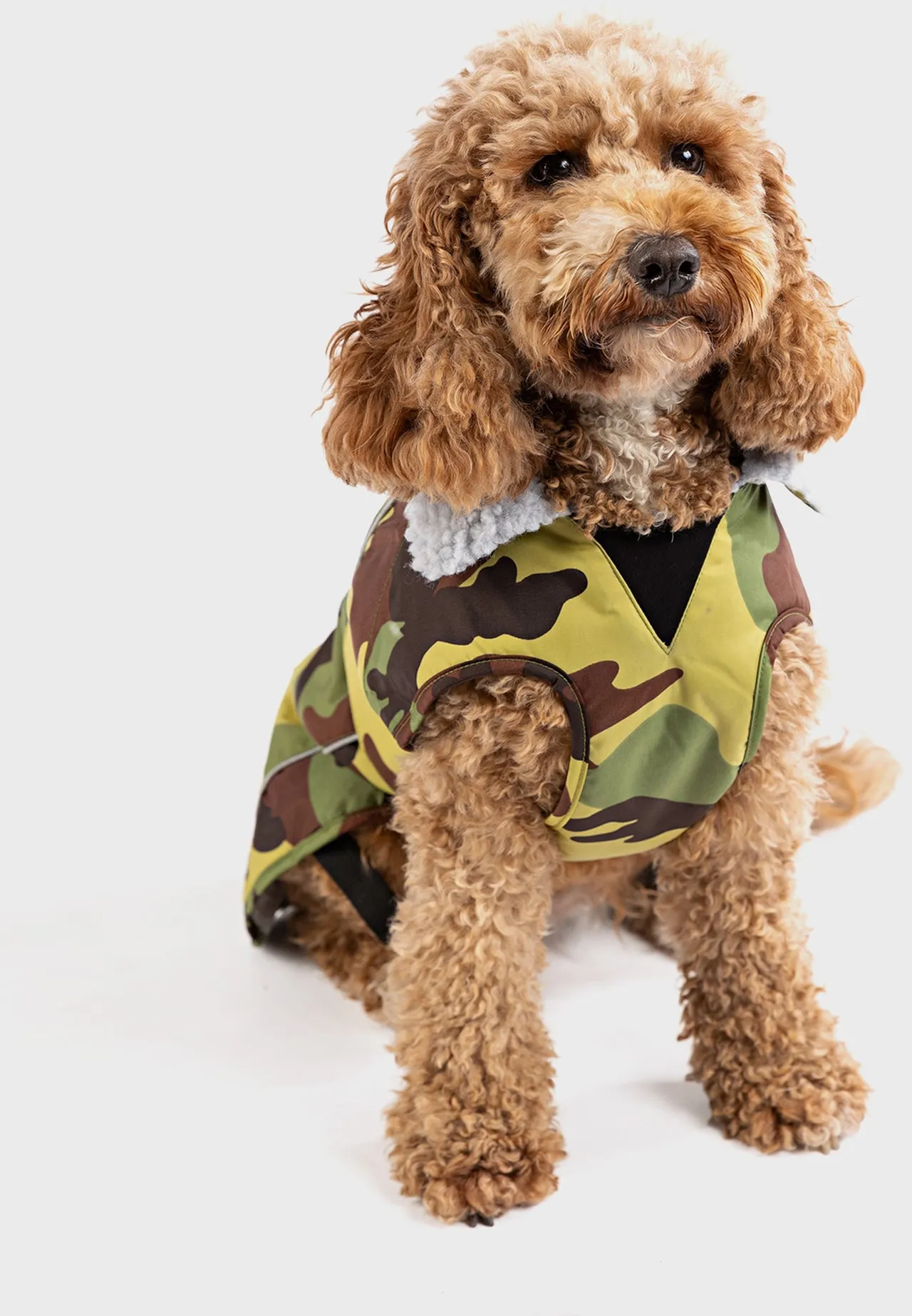 Dryrobe Dog Jacket (Dog Robe)