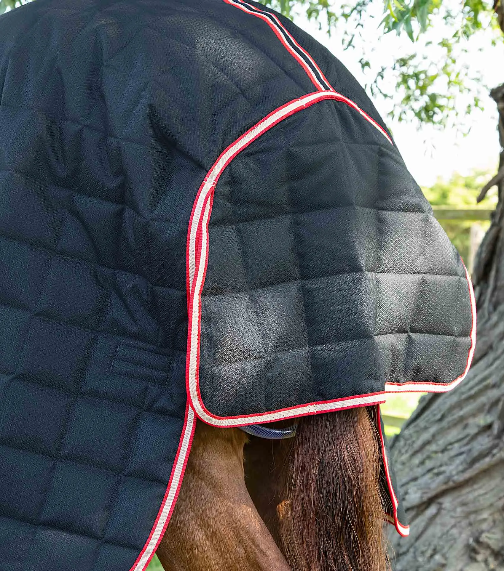 Lucanta 200g Stable Rug with Neck Cover Black