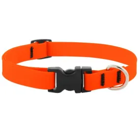 Lupine SPLASH Neon Orange 13-22" Collar