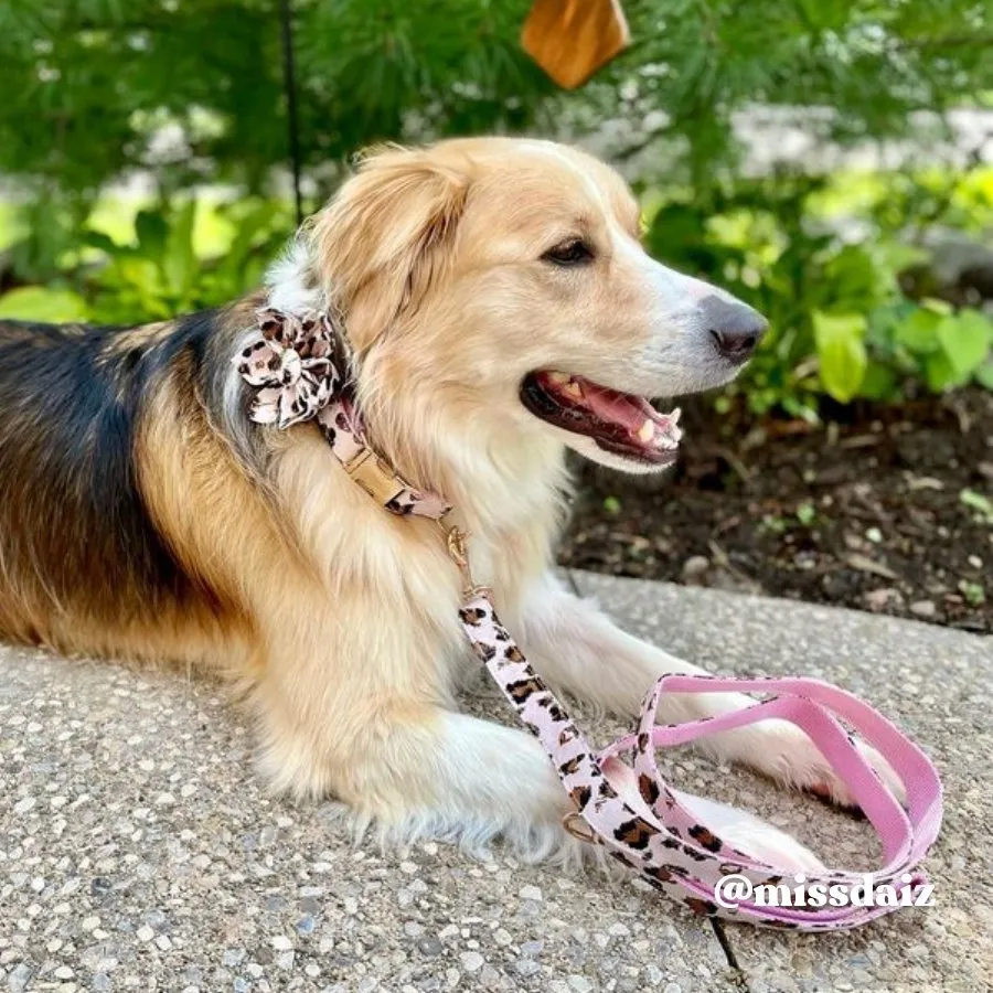 Pink Leopard Flower Unbreakable Collar™ & Leash Set